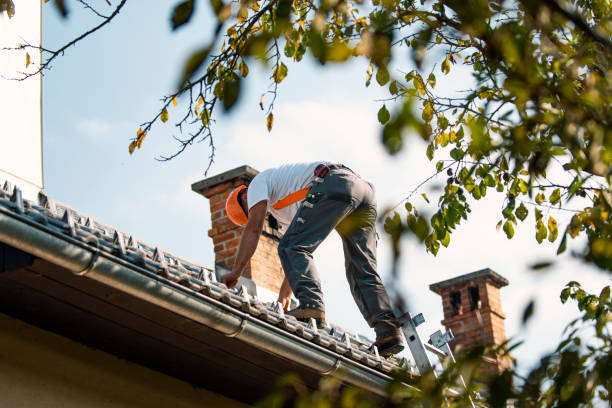 Best Roof Ventilation Installation  in Kennedy, CA